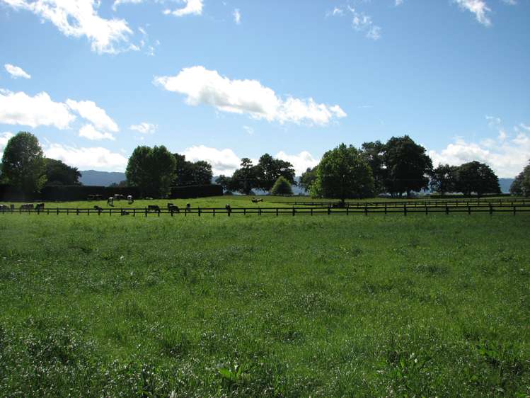 305 Taihoa South Road Matamata_6