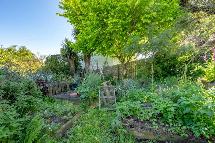 40 Scobie Road Waverley_13