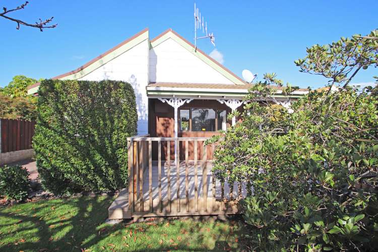 19 Swansea Place Tamatea_9