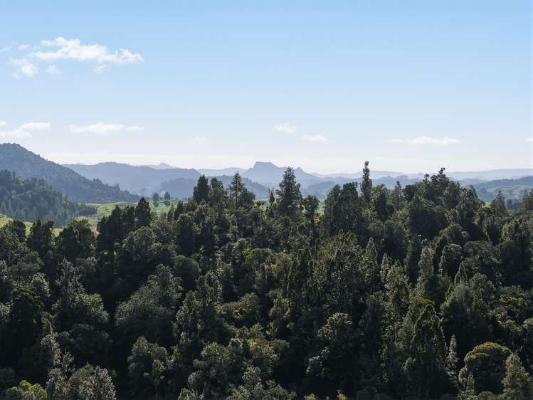 Otangaroa Road Mangamuka_5