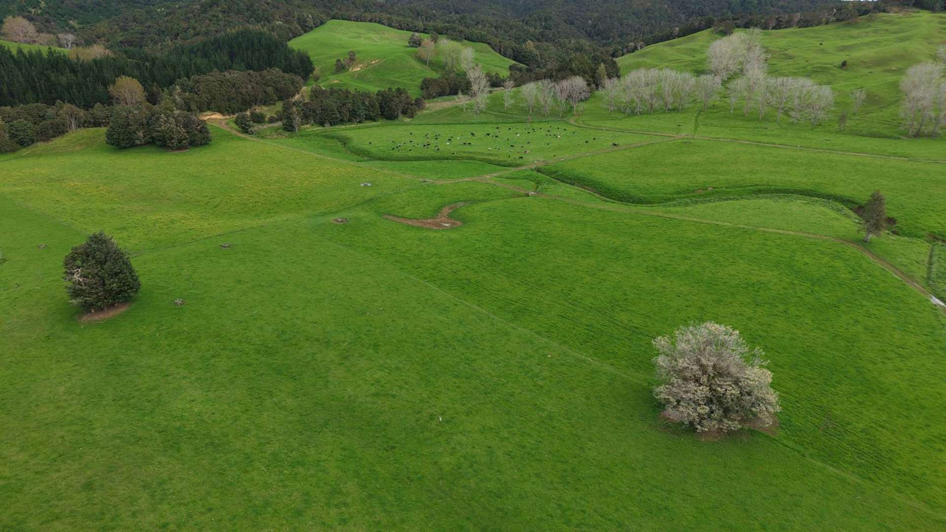 3675 Mangakahia Road Pakotai_0