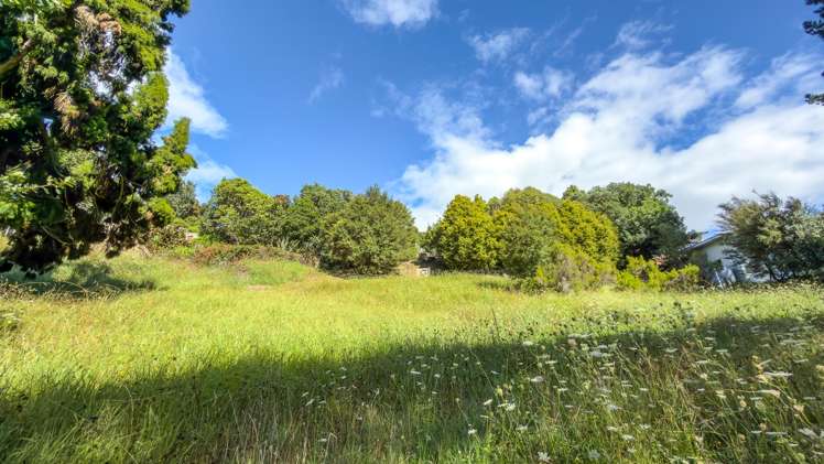 236 The Booms Avenue Thames_10