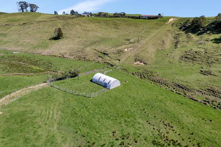 894 State Highway 1 Whangarei Surrounds_21