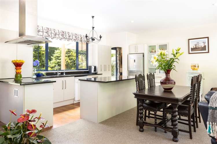 188 Mount Riley Road Havelock_14