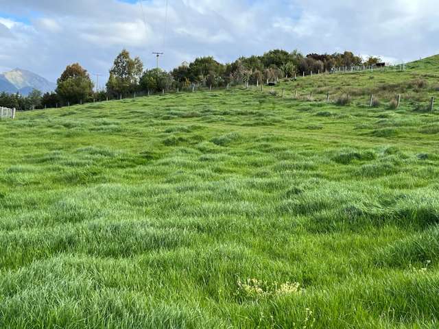 73 Kahu Way, RD2 Hawkesbury_2