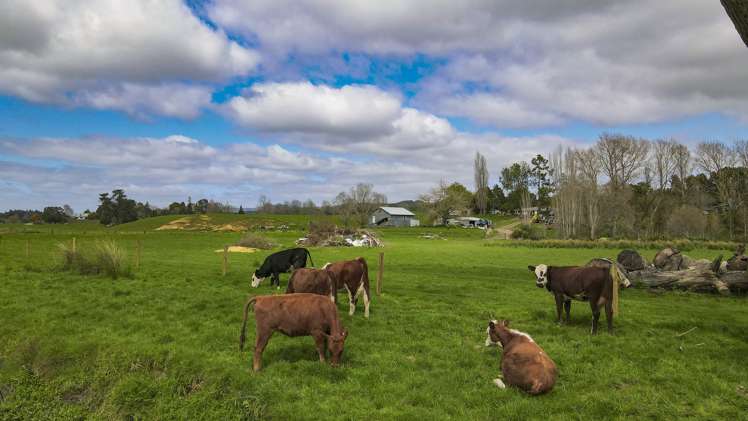 3629 State Highway 2 and Coxhead Road Mangatarata_19