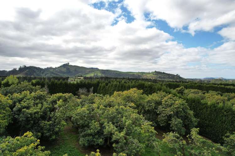 192 Woodland Road Katikati_9