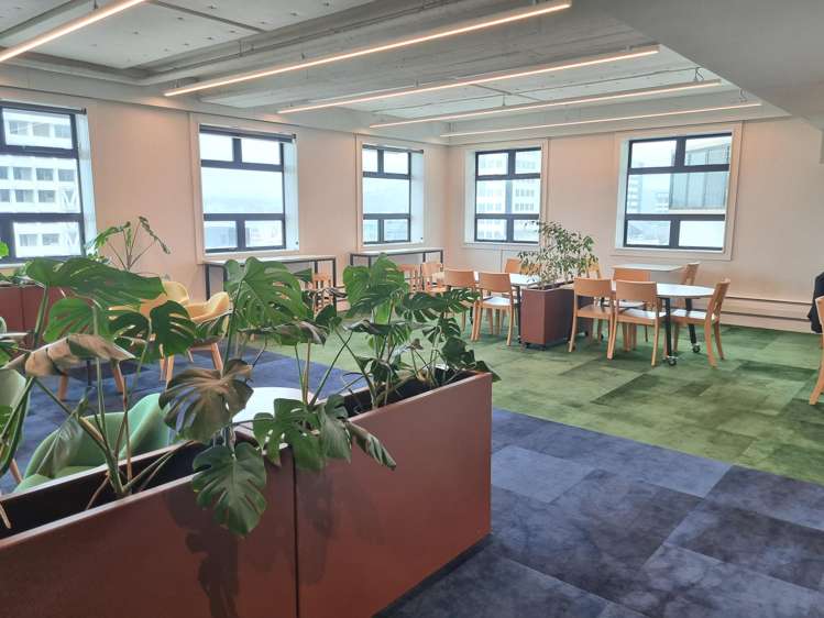 85 Molesworth Street Thorndon_9