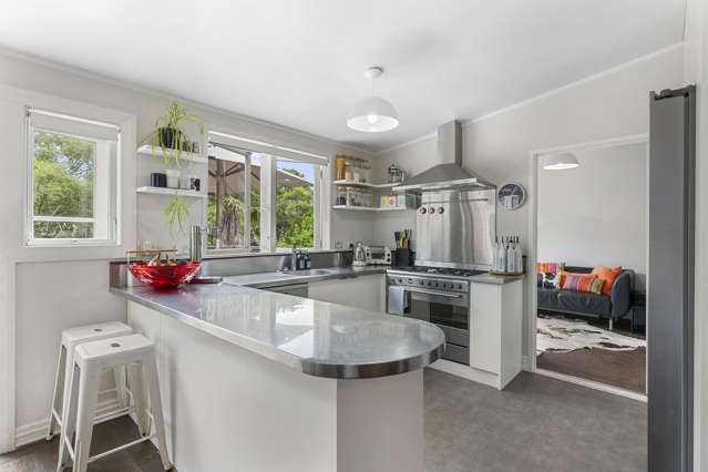 37 Stanmore Road Grey Lynn_3