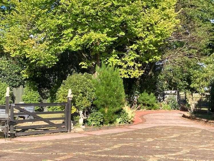 6 Campbell Street Waihou_3