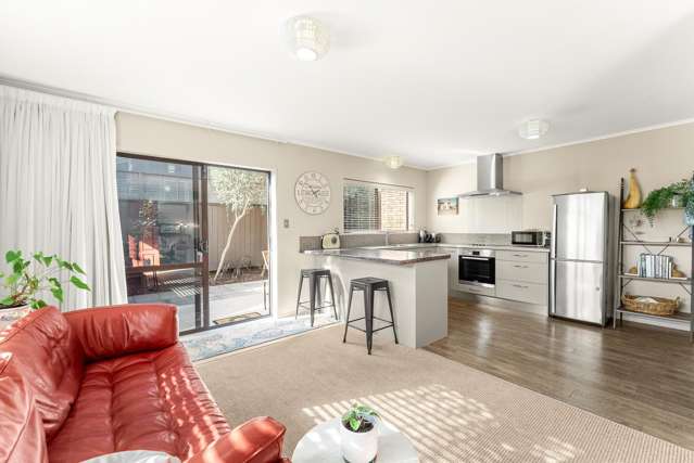 61 Campbell Road Mount Maunganui_2