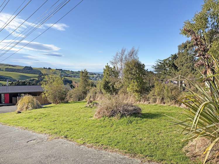 56A Puketai Street_3