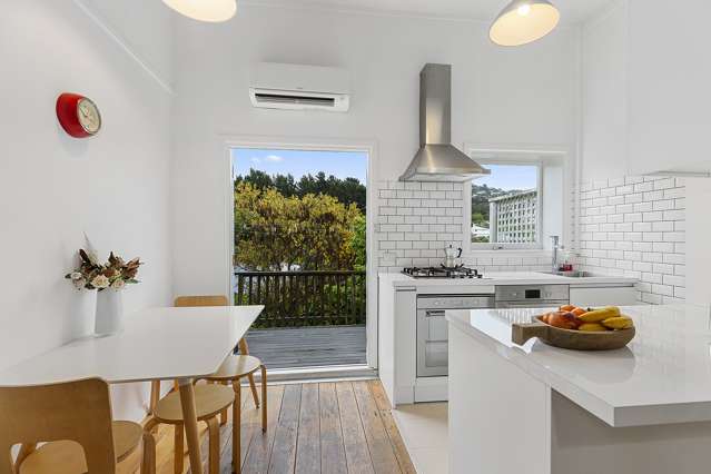 548 Adelaide Road Berhampore_3