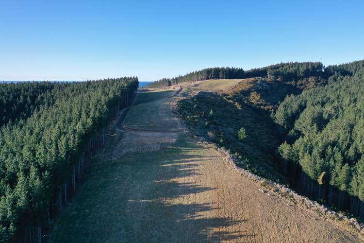 Shag Point Road Palmerston_13