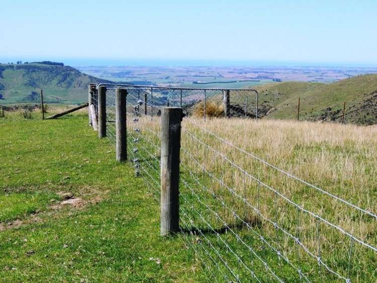 126 Mcphersons Road Taiko_0