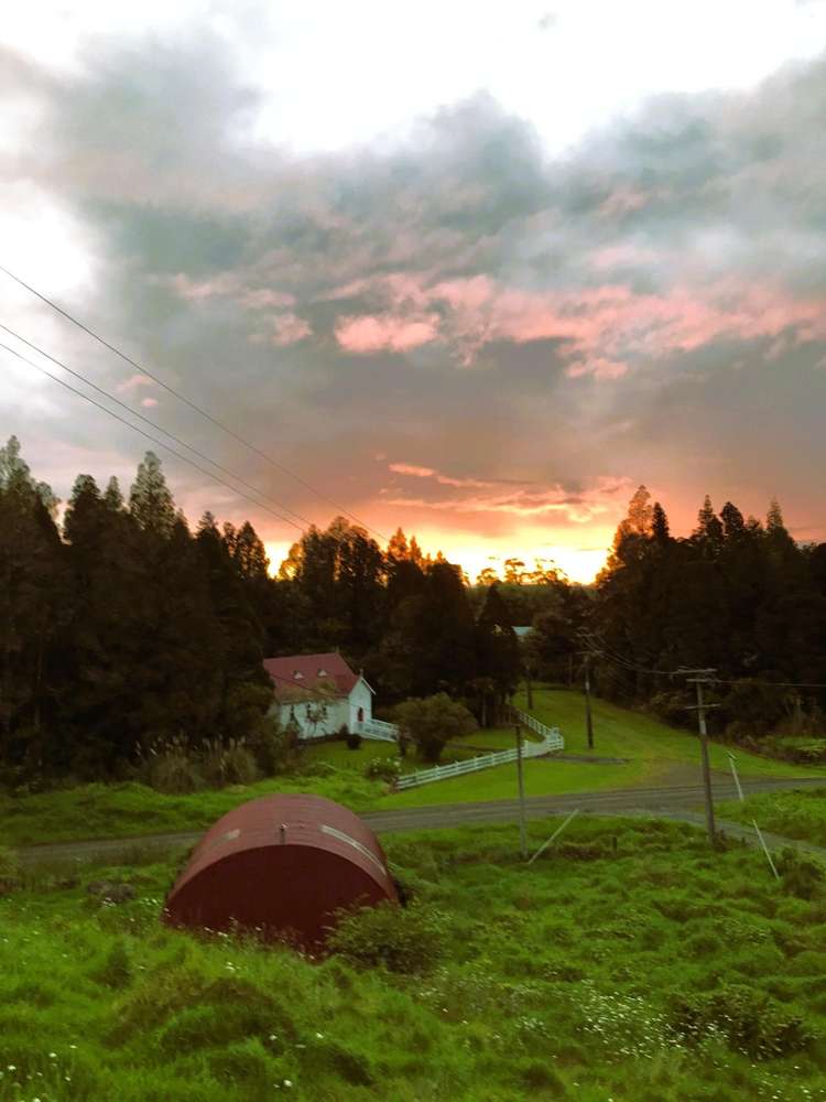 36A Takahue Saddle Road Broadwood_28