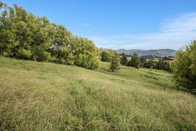 Kirikopuni Road Parakao_6