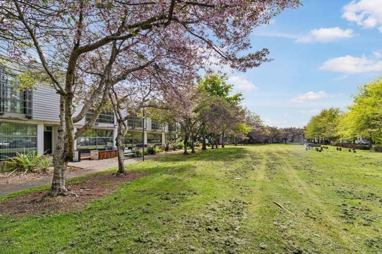 18 Kauri Drive Takanini_6