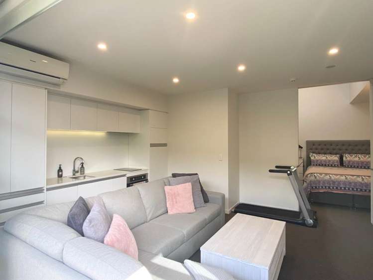 375 Murphys Road Flat Bush_4