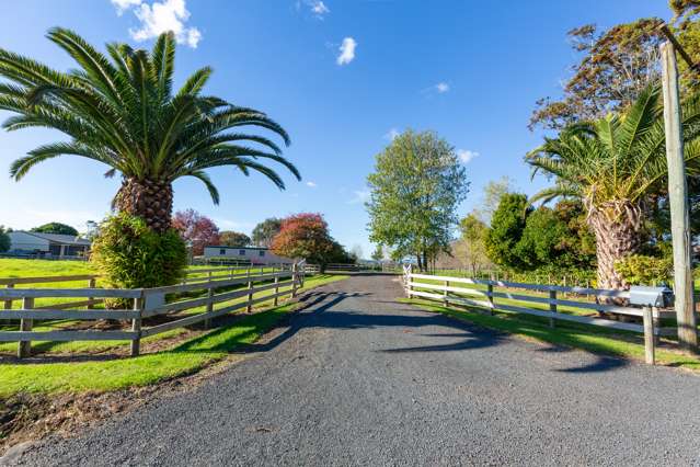 112 Wymer Road Glenbrook_1