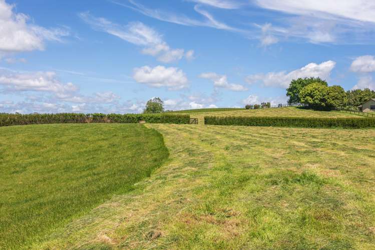 231 Matai Road Matamata_4