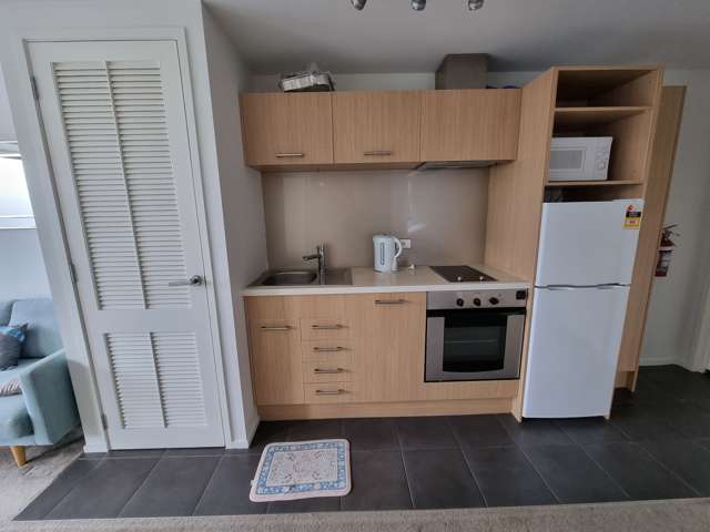 5e1/8 White Street Auckland Central_1