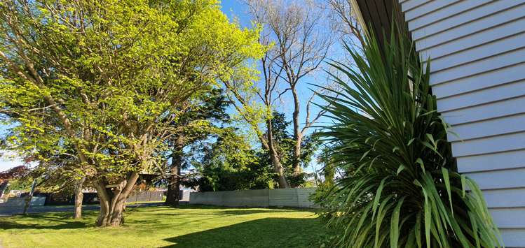 67 Queenwood Road Levin_13