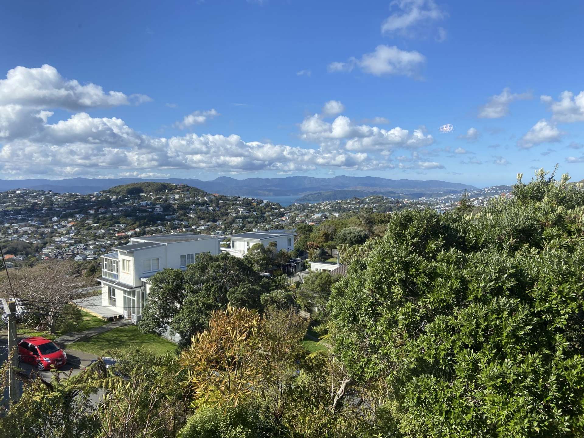 37 Huntleigh Park Way Ngaio_0