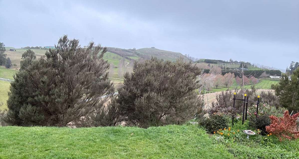 Tranquil Countryside Living 2