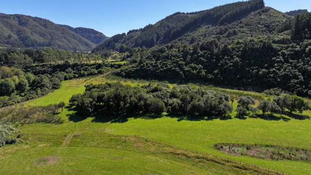 Waiohine Gorge Road Carterton_1