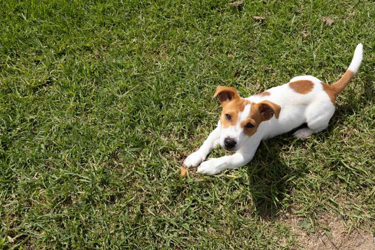 503 Puhipuhi Road Whakapara_30