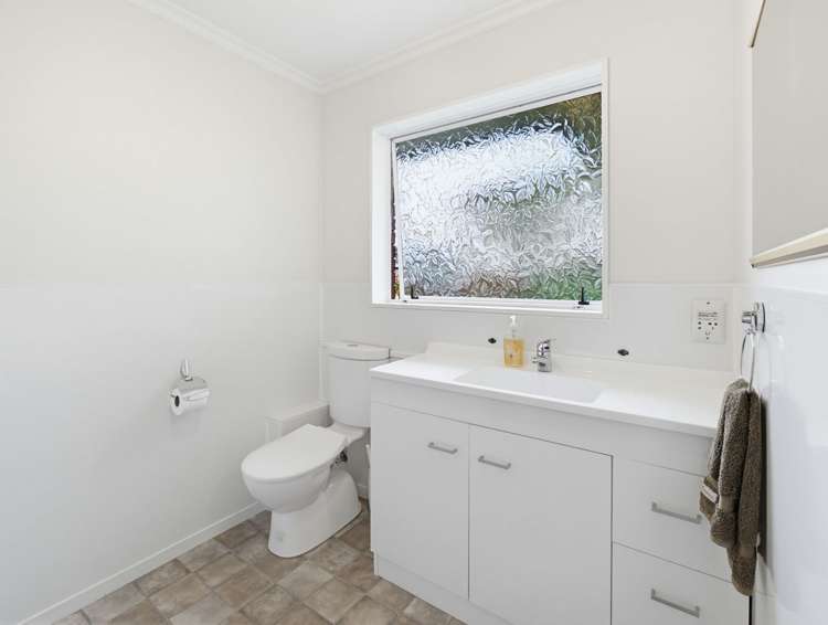 45 Dittmer Drive Awapuni_16
