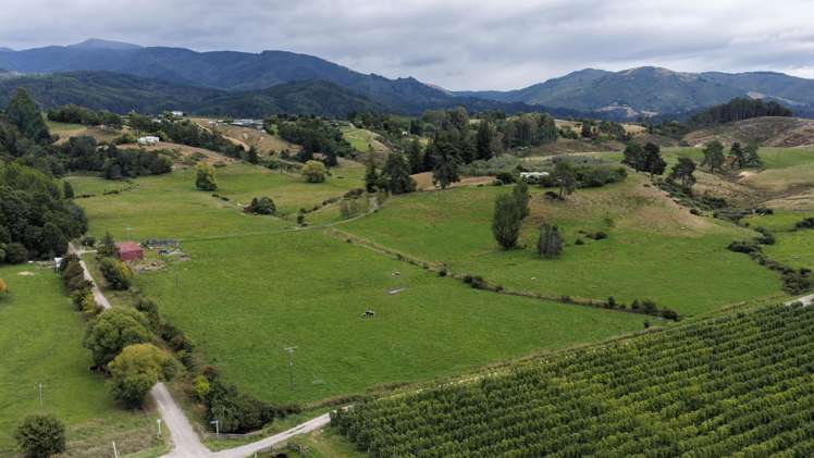 219 Hursthouse Street Lower Moutere_24