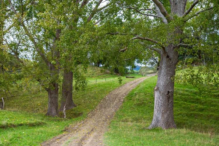 3160 Masterton Castlepoint Road Mangapakeha_19