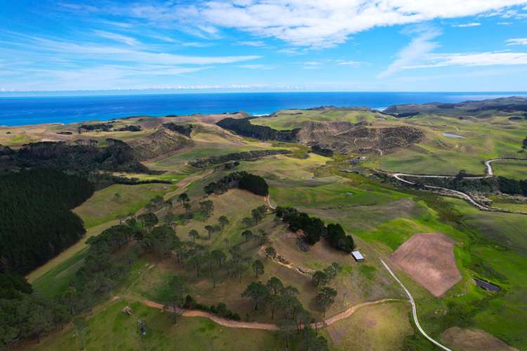 Babylon Coast Road Dargaville_13