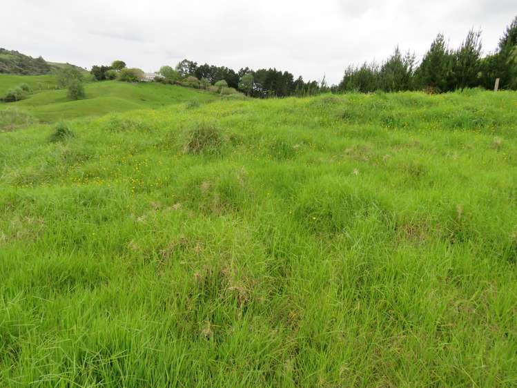 289 Franklin Road Paparoa_22