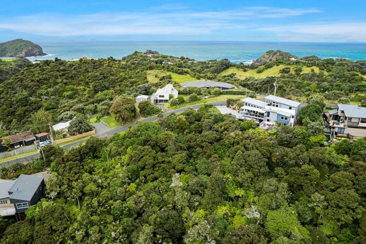 Pacific Bay Road Tutukaka_6