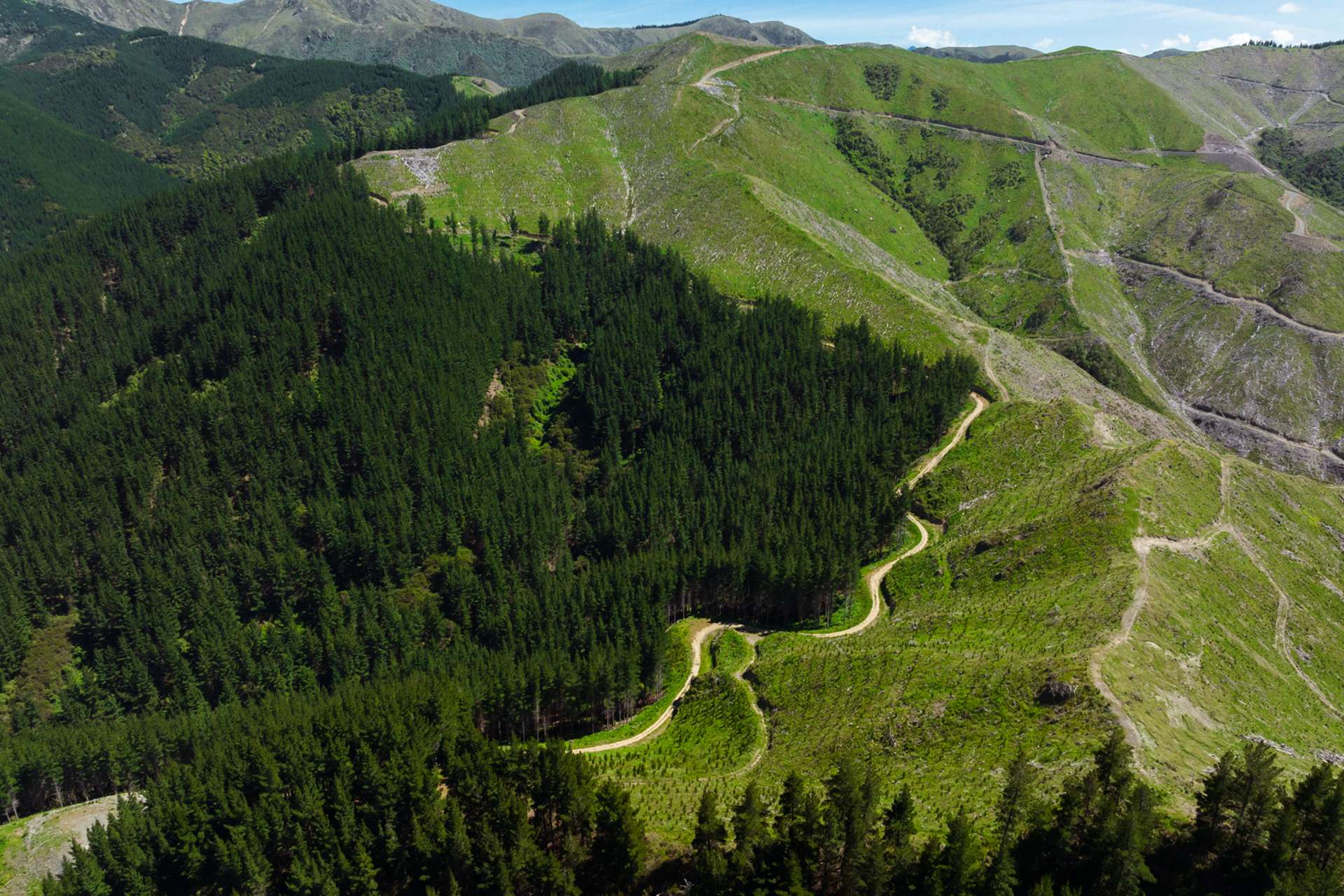 Waihopai Valley Road Waihopai Valley_0