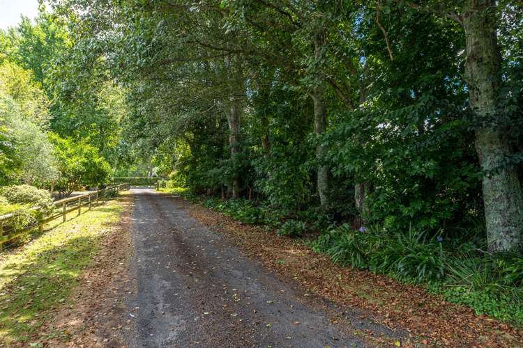 115b Rosebanks Drive Tamahere_4