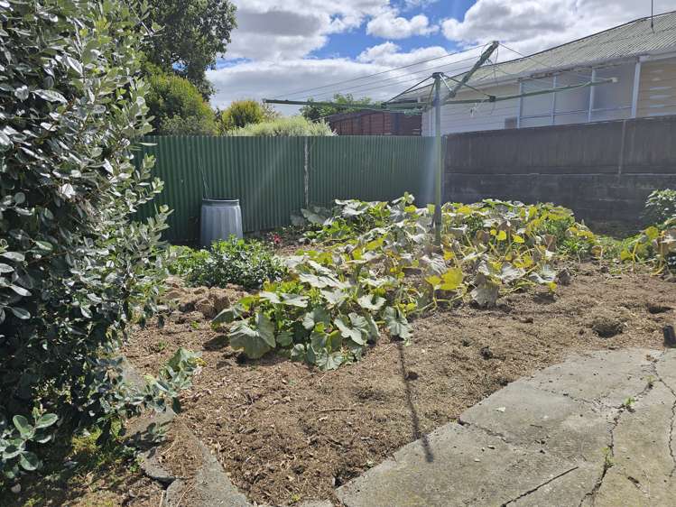 18 Duke Street Levin_18