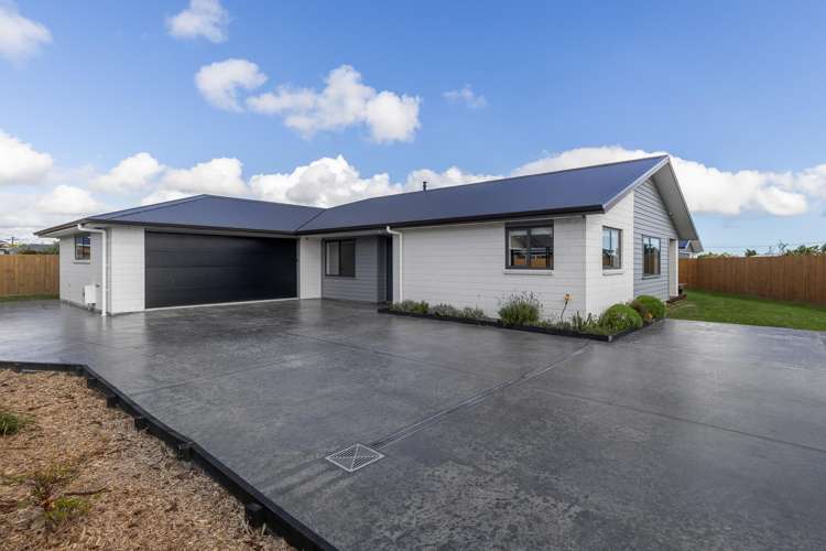 14 Ash Close Levin_31