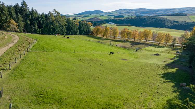 3126 Old Coach Road Clinton and Surrounds_38