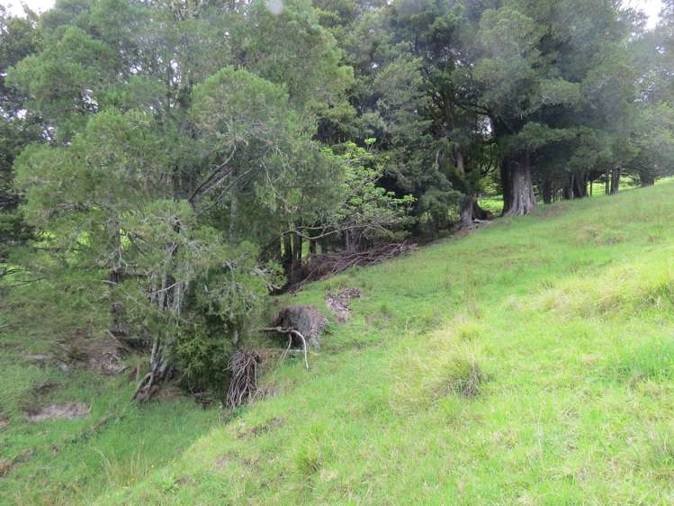 Lot 4 Taylor Road Taipa_10