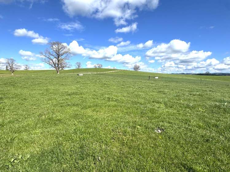 233B Kio Kio Station Road Otorohanga_1