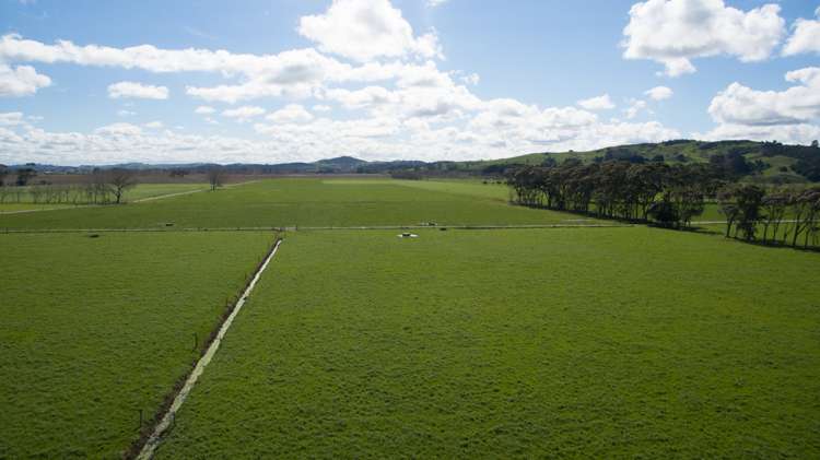 647 Te Kowhai Road Ruawai_10