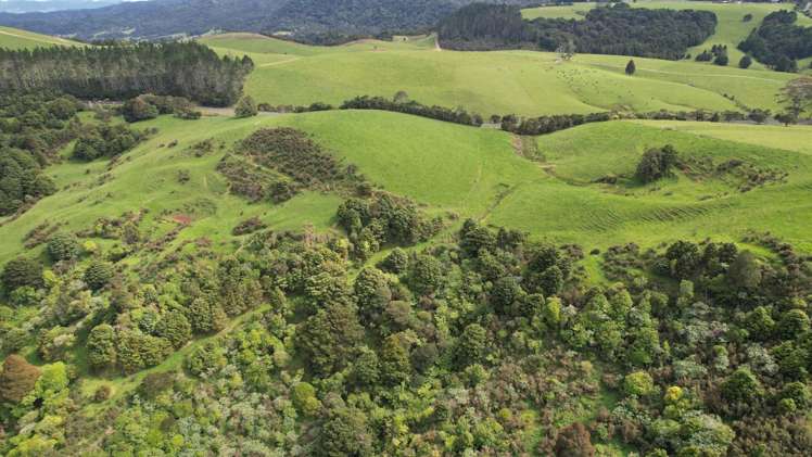 State Highway 10 Kaeo_7
