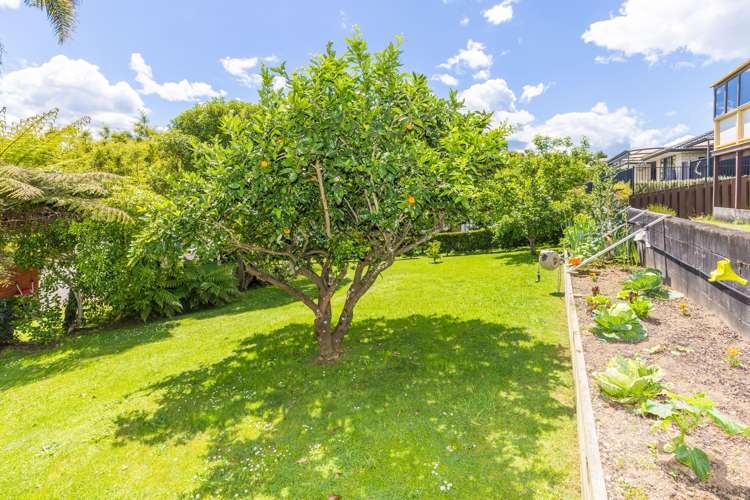 217 Tui Crescent Te Awamutu_23