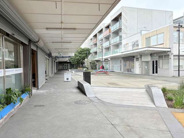 14 Clifton Court Panmure_2