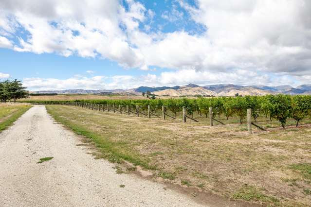 748 Waihopai Valley Road Waihopai Valley_4
