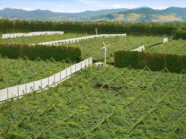 79 Woodlands Road Waihi Beach_22